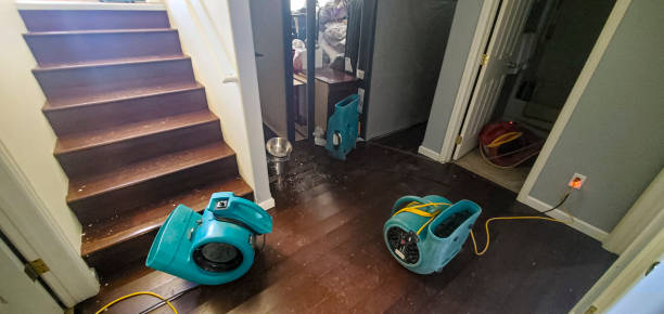 Best Flooded house restoration  in Saylorville, IA
