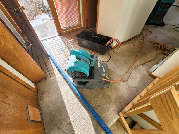 Best Water damage restoration near me  in Saylorville, IA