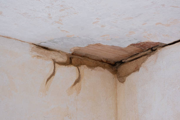 Best 24/7 water damage repair  in Saylorville, IA