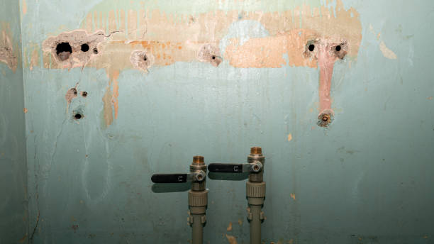 Best Water damage restoration specialists  in Saylorville, IA