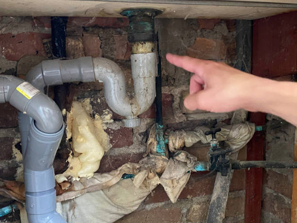 Best Sewage cleanup and water damage restoration  in Saylorville, IA