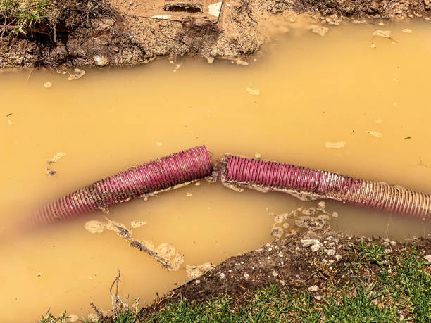 Reliable Saylorville, IA Water damage restoration Solutions